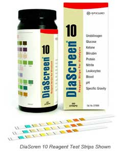 DiaScreen 10 Urine Test Strips, Test Urine Sample